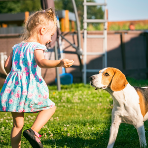 Young child playing with family dog in a residential backyard in San Diego during summer